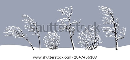 Similar – Image, Stock Photo snow-covered plants Snow