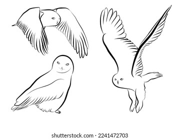 set snow owl outline black vector