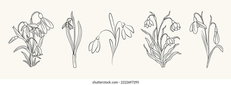 Set of snowdrop flower line art drawings. January birth month flower. Hand drawn monochrome black ink outline vector art illustrations. Perfect for tattoo, jewelry, wall art design.