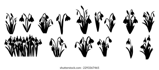 A set of snowdrop flower silhouettes. vector