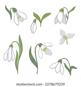 Flores de nieve aisladas en un fondo blanco. Gráficos vectoriales.