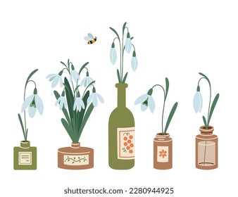 Set of snowdrops, first spring flowers in different bottles, cartoon style. Trendy modern vector illustration isolated on white background, hand drawn, flat design.