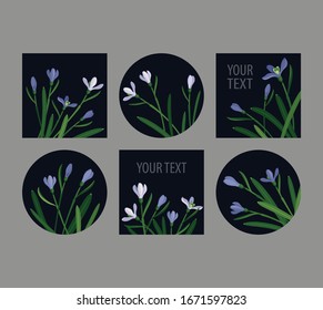 set snowdrops on a dark background: three square 
and three round small tags