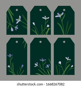 set snowdrops on a green background:
three long hexagonal tags and three short 
hexagonal tags