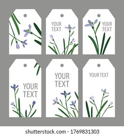 set snowdrops on a white background:
three long hexagonal tags and three short 
hexagonal tags