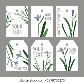 set snowdrops on a white background:
three short rectangular tags and three 
short hexagonal tags
