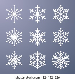 Set of snowflake on gray background