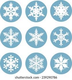 Set of snowflake shapes in flat style