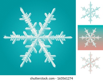 Set of snowflake. Snowflakes  isolated and on different backgrounds 