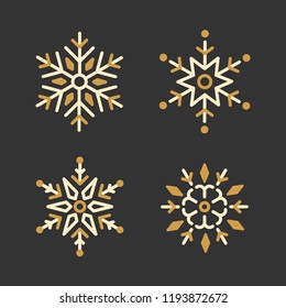 Set of Snowflakes Christmas design vector
