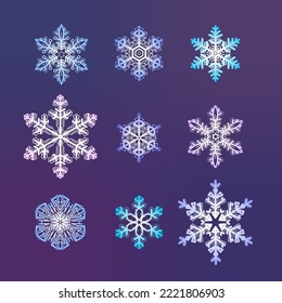 Set of snowflakes christmas design vector