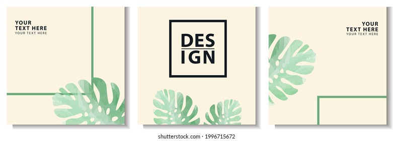 set of social media background with plants. social media feed background template with monstera leaves.