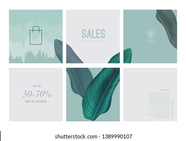 Set of social media instagram template for spring summer sale, clean element style with leaf. Packaging for botanic, hotle, spa, resort, luxury. Vector illustration.