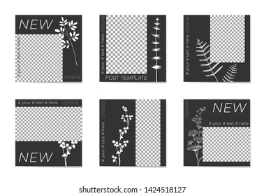 A set of social media post templates. For personal and business accounts. White silhouettes of plants on a black background. With place for your foto. Promotion Brand Fashion. Stories. Streaming