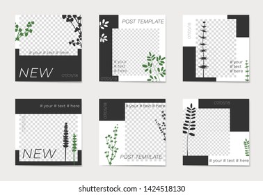 A set of social media post templates. For personal and business accounts. Silhouettes of plants on black and white background. With place for your foto. Promotion Brand Fashion. Stories. Streaming