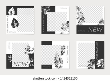 A set of social media post templates. For personal and business accounts. Leaf silhouettes on black and white background. With place for your foto. Promotion Brand Fashion. Stories. Streaming