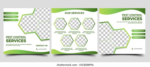 Set of social media post templates for pest control services. Flat design with photo collage. Usable for social media post, flyers, banners, and web internet ads.