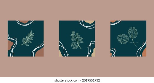 Set of social media post templates with aesthetic plants, abstract organic shapes and abstract shapes composition in contemporary collage minimal style on light brown background 