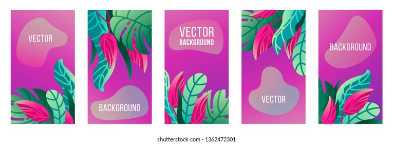 set social media stories wallpapers
