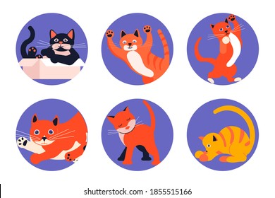 Set of Social Media Story highlight icons for cat lovers. Cats day, pets in different poses sitting, standing, playing. Flat Art Vector illustration