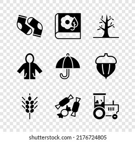 Set Socks, Herbarium, Bare tree, Wheat, Candy, Tractor, Raincoat and Umbrella icon. Vector