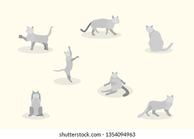 set of soft pastel cute gray cat element modern geometric flat style. vector illustration eps10