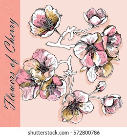 Set with a soft pink and gold flowers cherry on a beige background. Vector illustration.
