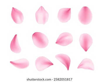 Set of soft pink petals scattered in air. 3d realistic style. Blossom Leaf collection varied shapes. Vector illustration isolated on white background