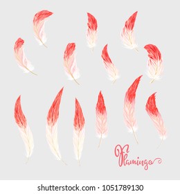 Set of soft red flamingo feathers. Stock vector illustration.