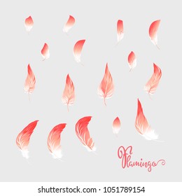 Set of soft red flamingo feathers. Stock vector illustration.