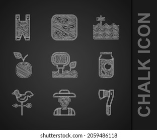 Set Soil ph testing, Farmer the hat, Wooden axe, Jam jar, Rooster weather vane, Apple, Garden bed and worker clothes icon. Vector