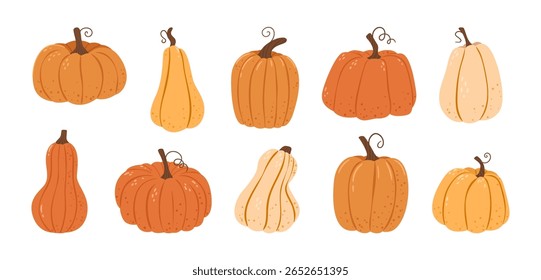 Conjunto de calabazas dibujadas a mano aisladas para la decoración de Acción de Gracias y pegatinas. Linda cosecha de dibujos animados. Concepto de otoño.