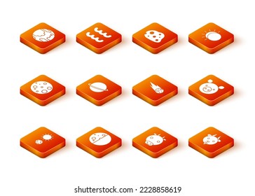 Set Solstice, Eclipse of the sun, Moon, Planet Saturn, Ox zodiac, Comet falling down fast, Aries and Pig icon. Vector