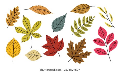 Set of sort of autumn leaves - oak, maple, chestnut, ash, birch etc.. Flat minimalistic modern fall leaves collection for seasonal designs. Vector illustrations.