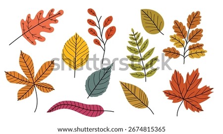 Set of sort of autumn leaves - oak, maple, chestnut, ash, birch etc.. Flat minimalistic modern fall leaves collection for seasonal designs. Vector illustrations.
