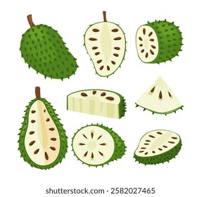 Set of soursop fruit collection kit, zuurzak, sliced soursop, whole and half.Food fruit. Exotic sweet, Guanabana Green Fruit with Sour Citrus Flavor, with Dark Green Rind Covered with Thick Thorns.