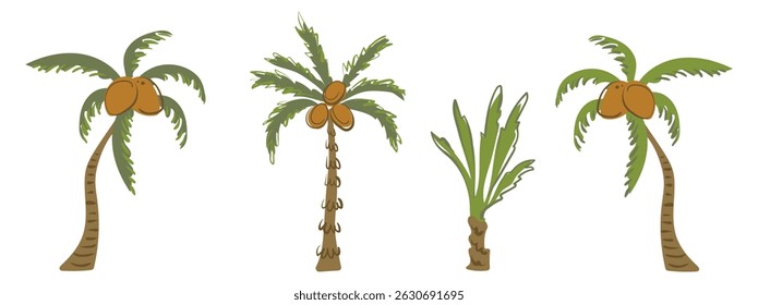 Set of south African trees. Palms with coconuts in simple style. Tropical, beach tree for jungle decoration, bounty coast, children's illustration. Vector images in flat style.