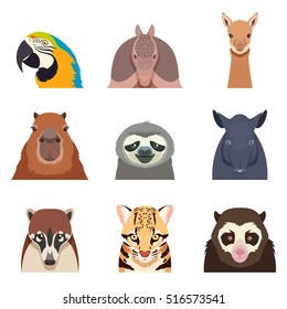 Set of south america animals flat icons