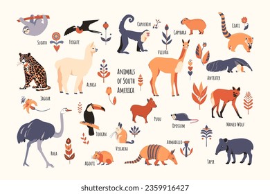 Set of South American animals with floral elements and captions. Simple vector style, beige colors.