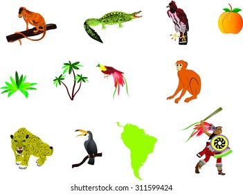 Set of South American animals. plants , people: tapir, jaguar, palm, monkeys, tucan, maya