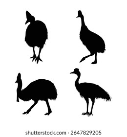Conjunto de silhuetas pretas cassowary sul vol 02