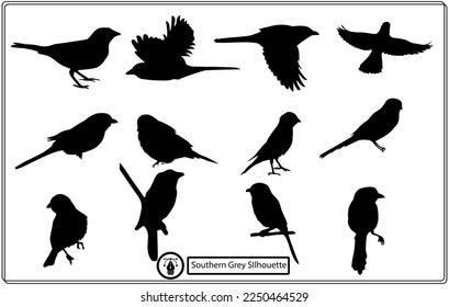 Set of southern grey vector silhouettes.