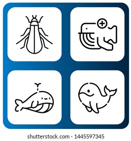 Set of southern icons such as Tree cricket, Whale , southern