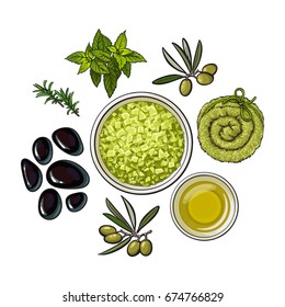 Set of spa salon accessories - basalt stones, massage oil, aromatic salt, towel, herbs, sketch vector illustration on white background. Hand drawn spa set - stones, massage oil, rolled up towel, herbs