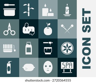 Definir placa de salão de Spa, natureza de planta de folha, agulhas de tricô, vela ardente, Bar de sabão com espuma, Tesoura, Sauna concha balde e ícone de maçã. Vetor