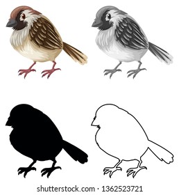 Set of sparrow character illustration