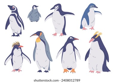 Set of species of penguins. Big Emperor, King, Rockhopper, Magellanic, Royal penguin. North flightless seabirds of Antarctica. Arctic wild pole animal vector illustration isolated on white