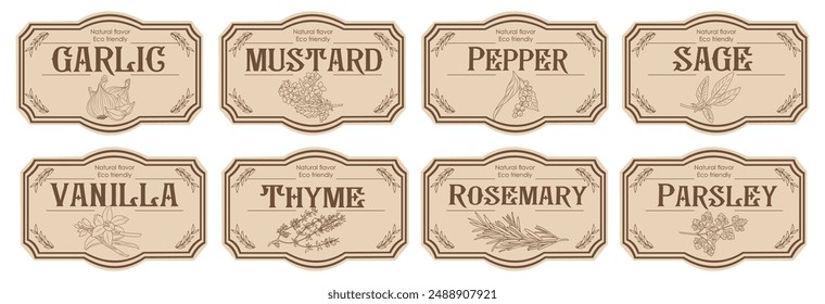 Set of spice jar labels with herbs sketches, pepper, mustard, garlic, thyme, rosemary, parsley. Packaging and labeling template. Organic, natural flavor kitchen stickers. Vintage vector illustrations