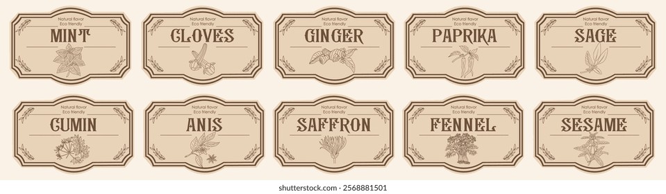 Set of spice jar labels with herbs sketches, paprika, cloves, sage, mint, anis, saffron, fennel. Packaging and labeling template. Organic, natural flavor kitchen stickers. Vintage vector illustrations