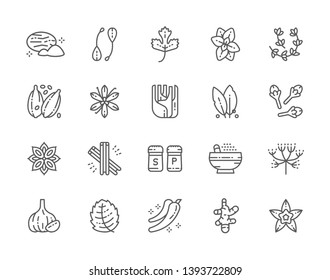 Set of Spice Line Icons. Nutmeg, Capers, Parsley, Oregano, Thyme, Cardamom, Vanilla, Fennel, Cloves, Cinnamon, Caraway, Garlic, Ginger and more. Pack of 48x48 Pixel Icons